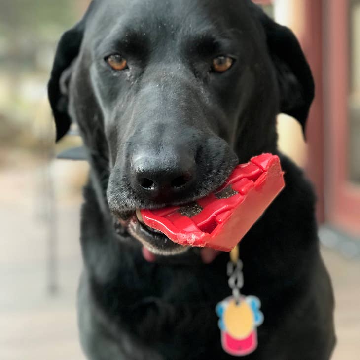 Jouet résistant à mâcher pour chien en nylon - Tarte à la cerise