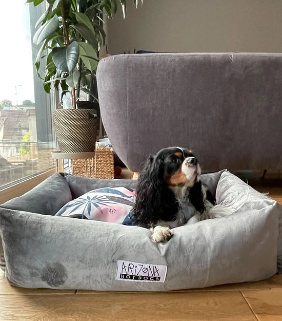 Paniers pour chiens déhoussables à motifs - Hot Concrete