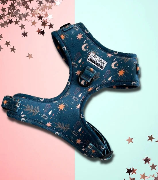Harnais Moonlight - Harnais ajustable bleu foncé avec motif astral | ARIZONA HOT DOGS chez DOG DELICA