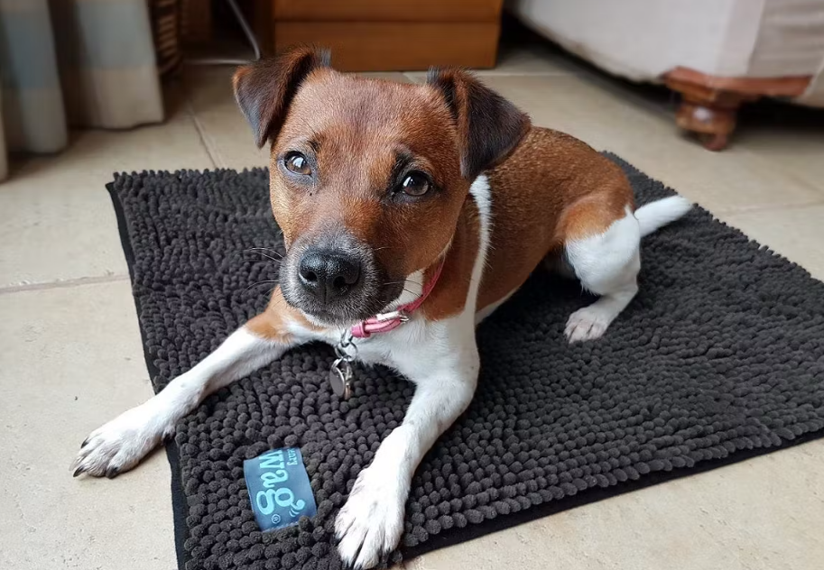 Tapis de séchage - Nouilles en Microfibre