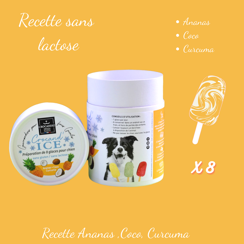 glace pour chiens artisanales Ananas Coco, une récompense saine et savoureuse pour les chiens exigeants
