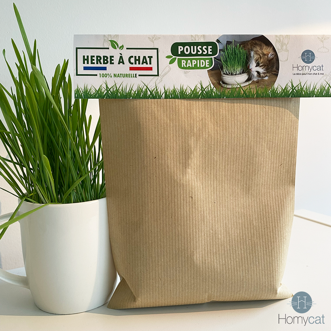 Sachet d'herbe à chat française