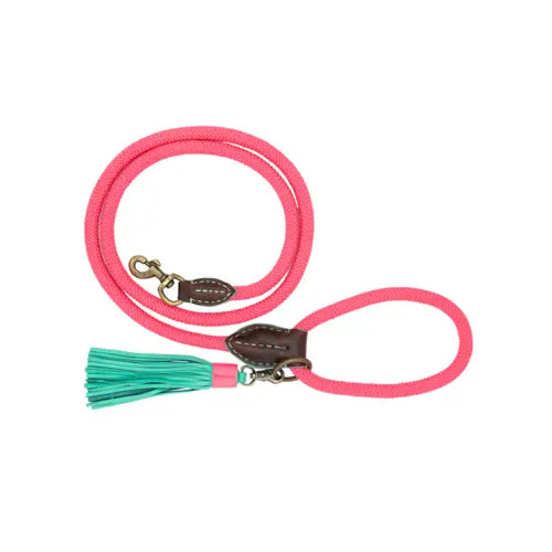 Laisse pour chien en corde rose "Classic Sugarbabe" de DWAM, élégante et résistante pour des promenades stylées.