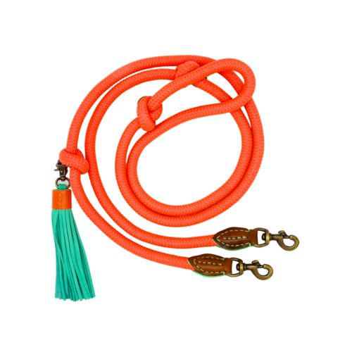 Laisse chien corde orange DWAM
