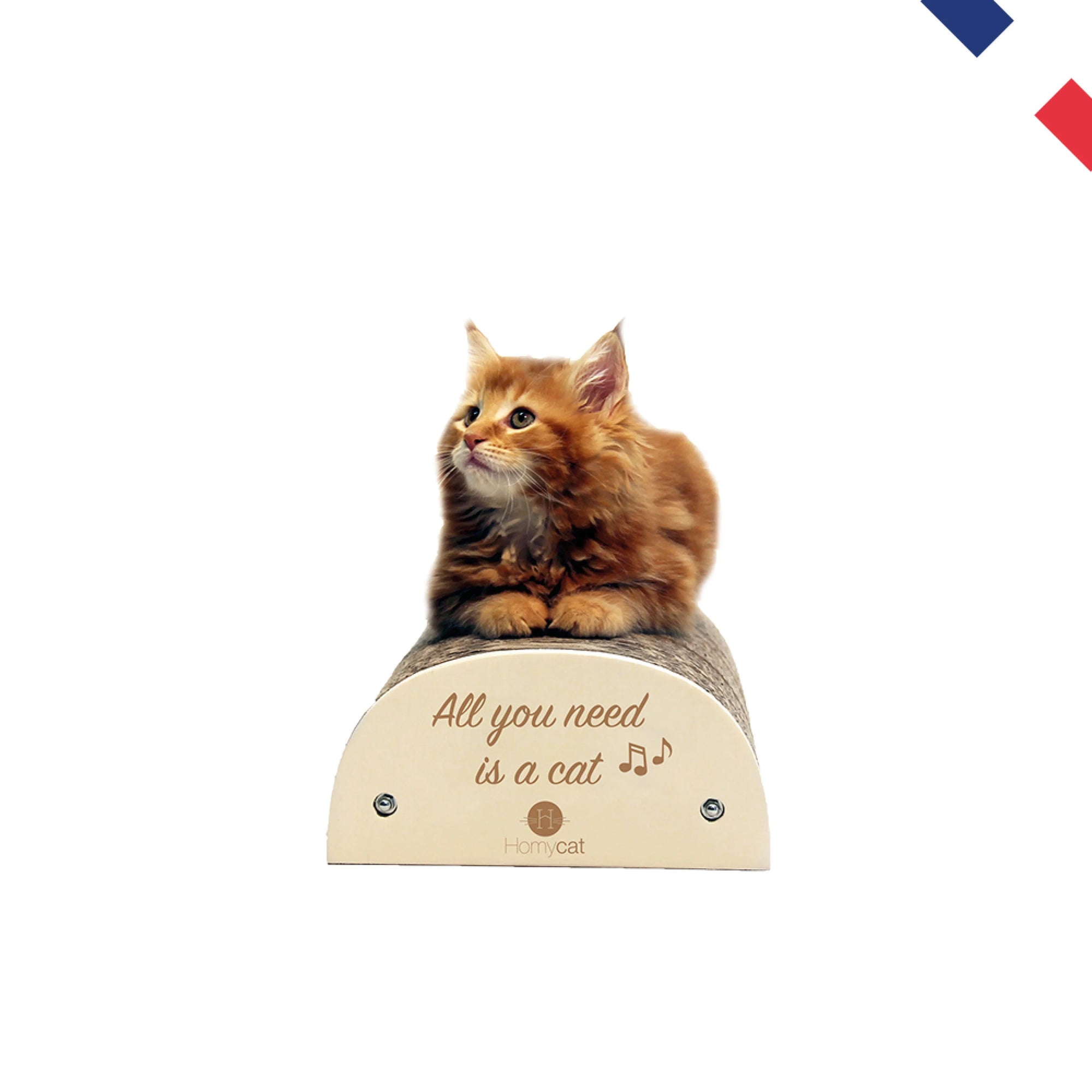 Griffoir "All you need is a cat"