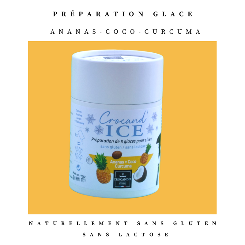 glace pour chiens artisanales Ananas Coco