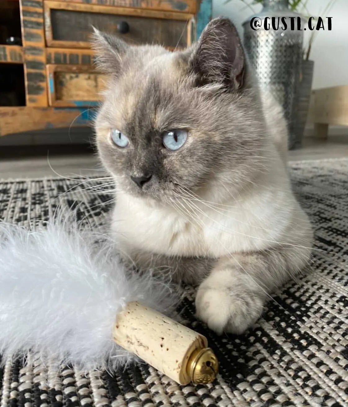 Balle badminton plumes naturelles - KATER KASIMIR - DOG DéliCAT