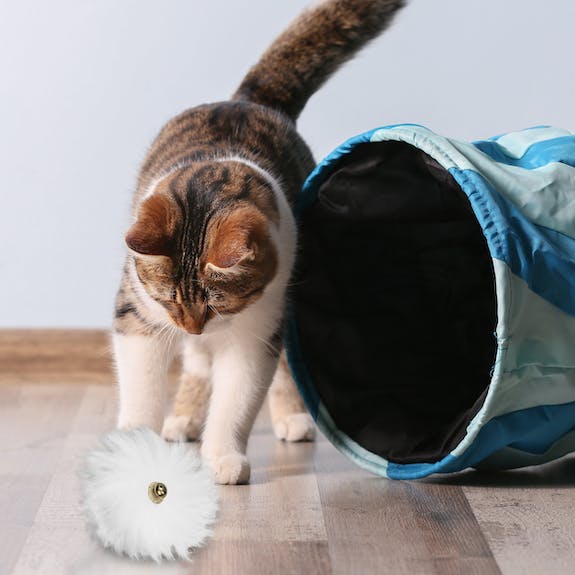 Balle en fourrure (peau de mouton) - KATER KASIMIR - DOG DéliCAT