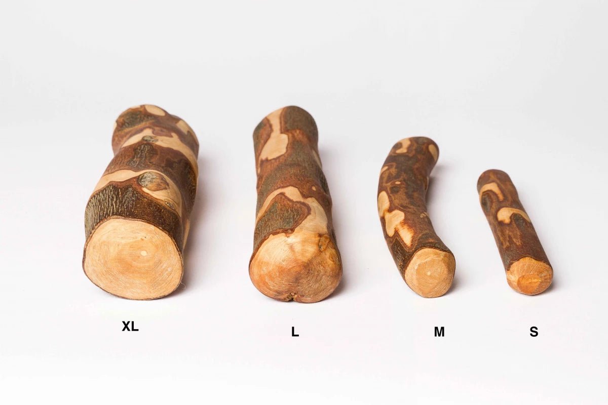 Baton bois d'olivier - EVIDENT - DOG DéliCAT