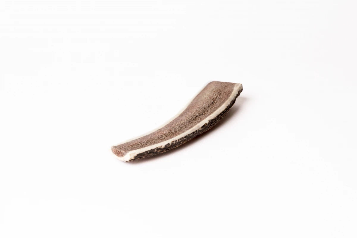 Bois de Cerf Tranché pour Chiens - Naturel, Gourmand et Durable, par EVIDENT sur DOG DELICAT.