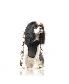Cape imperméable Hamilton – Élégance prince de galles pour chien - MILK&PEPPER - DOG DéliCAT