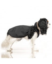 Cape imperméable Hamilton – Élégance prince de galles pour chien - MILK&PEPPER - DOG DéliCAT