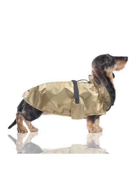 Cape imperméable Spencer dorée – Élégance waterproof pour chien - MILK&PEPPER - DOG DéliCAT