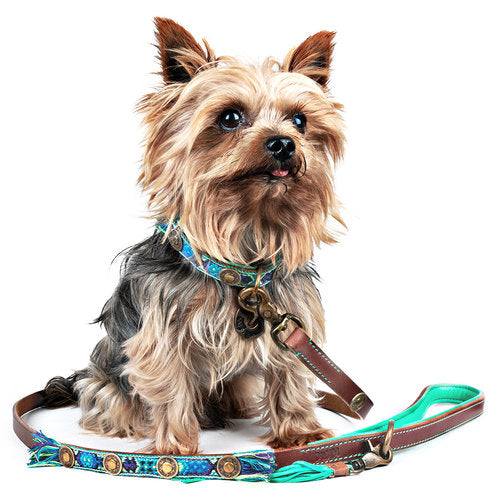 Accessoire chien style bohème en cuir durable