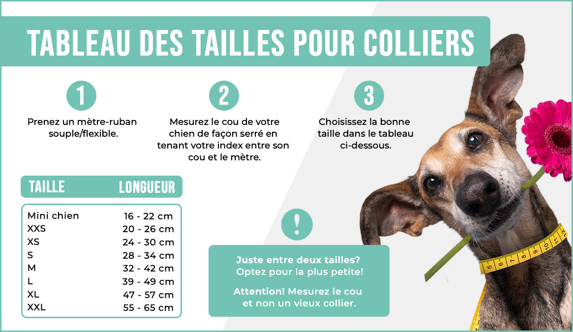 Collier chien artisanal DWAM avec franges et finitions cuivre