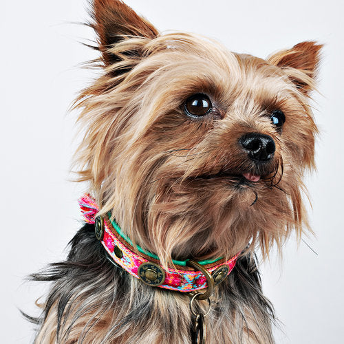 Accessoire rose artisanal pour chien DWAM