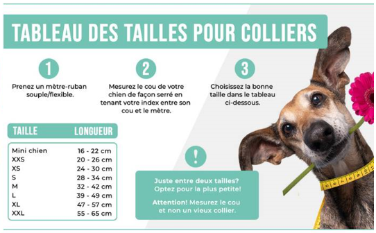 Collier cuir avec franges et finitions cuivre pour chien