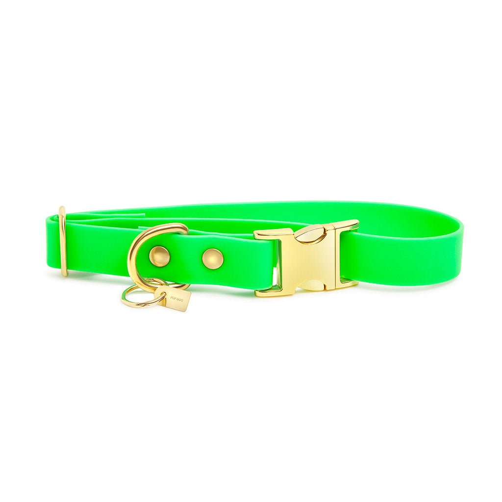 Collier en biothane PIRATE - POP DOG - DOG DéliCAT