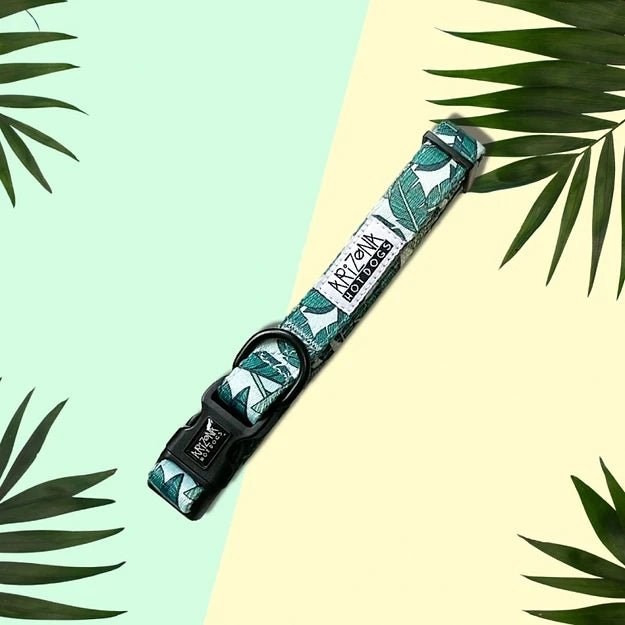 Collier en nylon à motifs pour chien - Amazonia - ARIZONA HOT DOGS - DOG DéliCAT