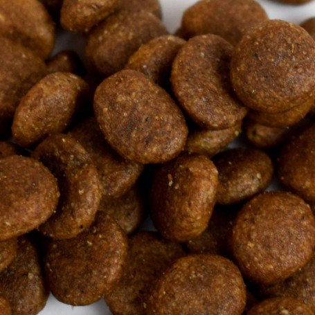 Croquettes chiot sans céréales au Saumon & Poulet - Made in France - Spécial croissance