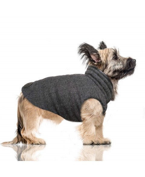 Doudoune réversible Chevron & Damier noir – Chic graphique pour chien - MILK&PEPPER - DOG DéliCAT