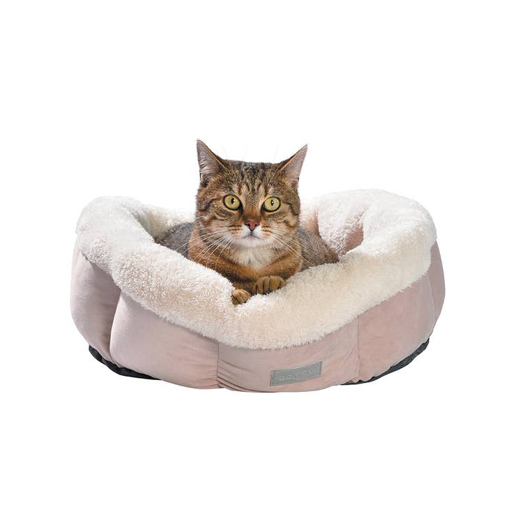 Image d'un chat confortablement installé dans le lit rond Bohème Rose de Bobby Canifrance, symbole de luxe et de bien-être pour les animaux de compagnie.