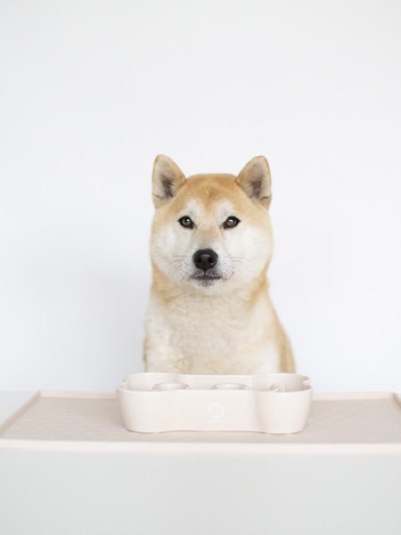 Gamelle anti - glouton gris foncé 🐶 - Pour un repas plus sain et plus lent - INOOKO - DOG DéliCAT