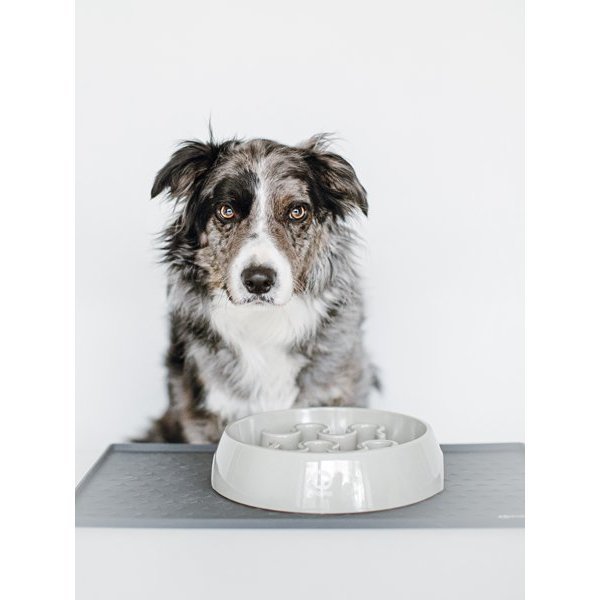 Gamelle anti - glouton Ronde - Taille L - Sable - INOOKO - DOG DéliCAT