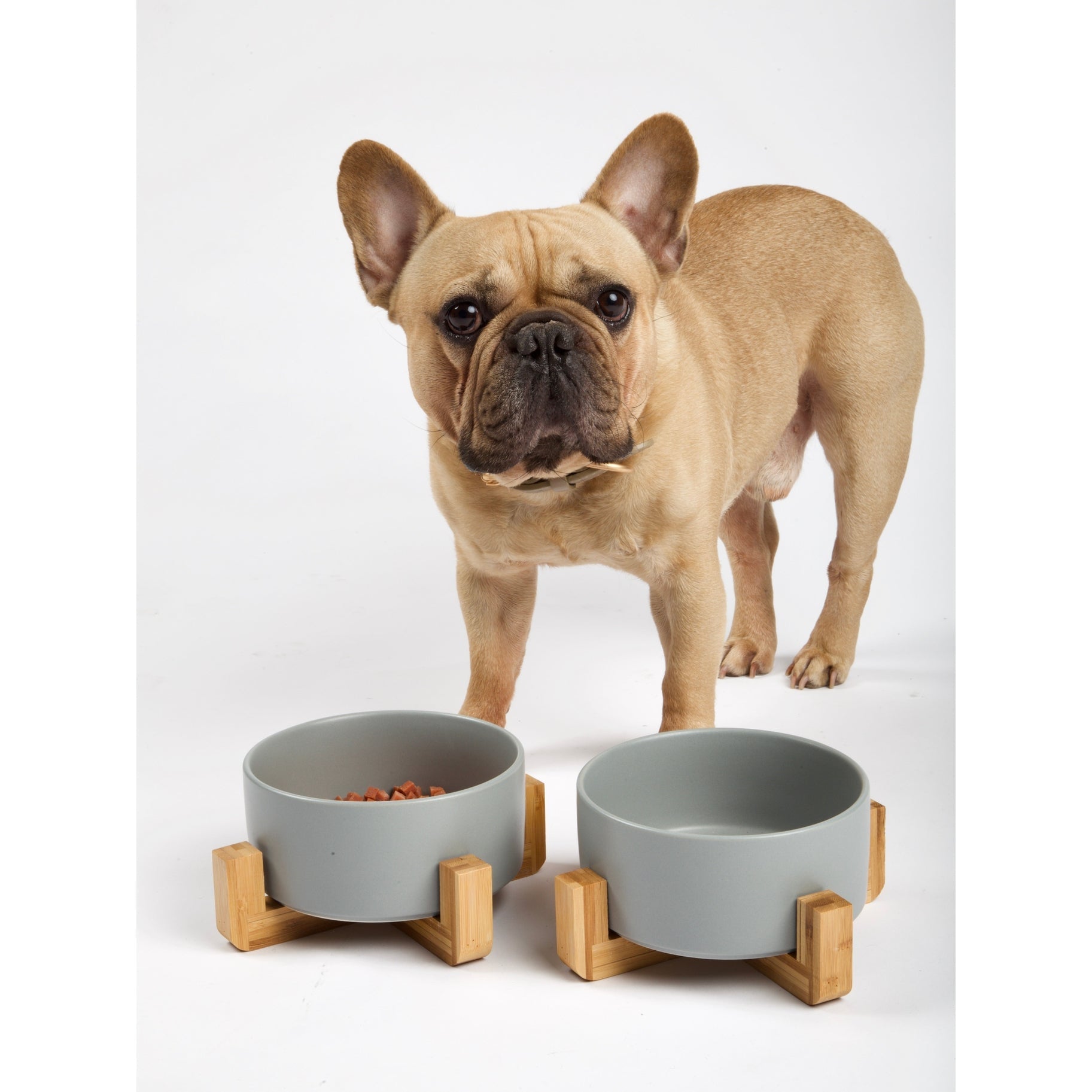 Gamelle avec support en bois (gris) - INT. PETS - DOG DéliCAT