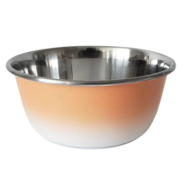 Gamelle profonde en acier inoxydable corail - JOJO MODERN PETS - DOG DéliCAT