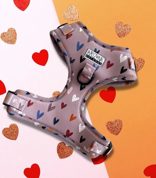 Harnais en H pour chien à motifs - Sweet Love - ARIZONA HOT DOGS - DOG DéliCAT