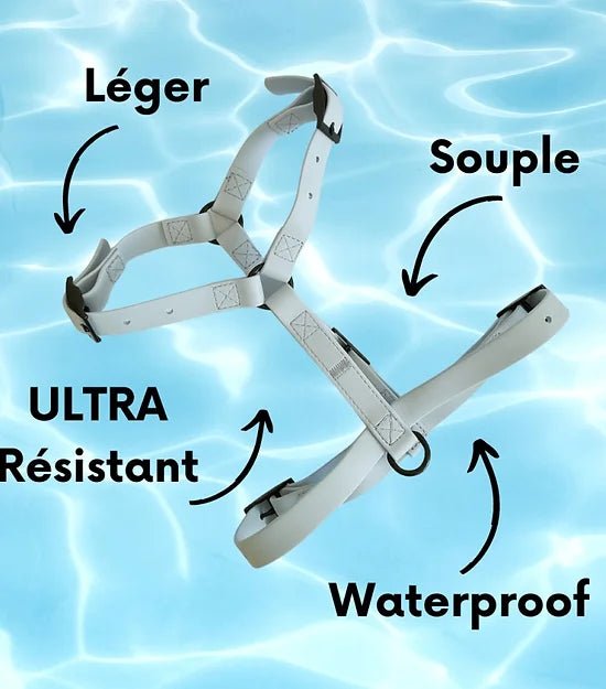 Harnais en Y pour chien imperméable - Gummy Layette - ARIZONA HOT DOGS - DOG DéliCAT