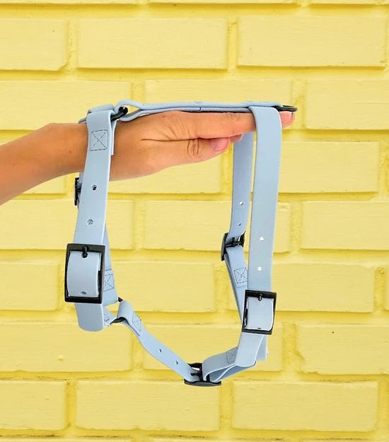 Harnais en Y pour chien imperméable - Gummy Layette - ARIZONA HOT DOGS - DOG DéliCAT