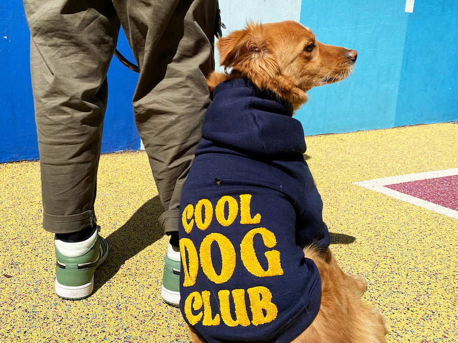 Hoodie brodé Cool Dog Club pour chien - Bleu marine