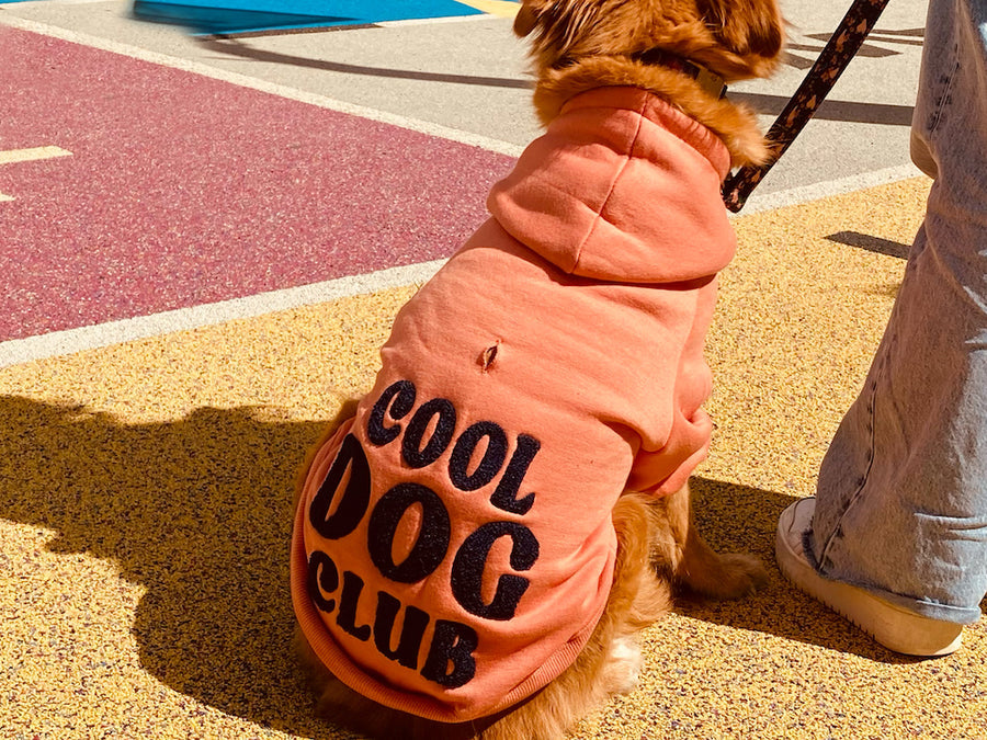Hoodie pour chien brodé Cool Dog Club - Rose corail