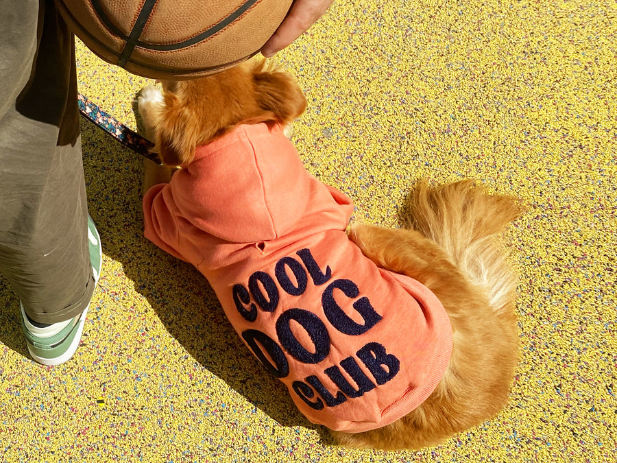 Hoodie pour chien brodé Cool Dog Club - Rose corail