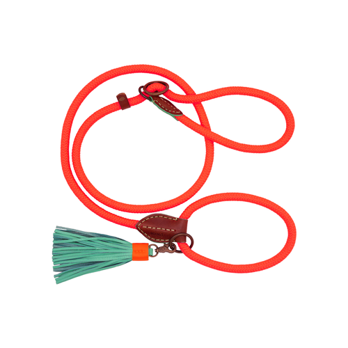 Laisse Lasso collier intégré Carrot Cake