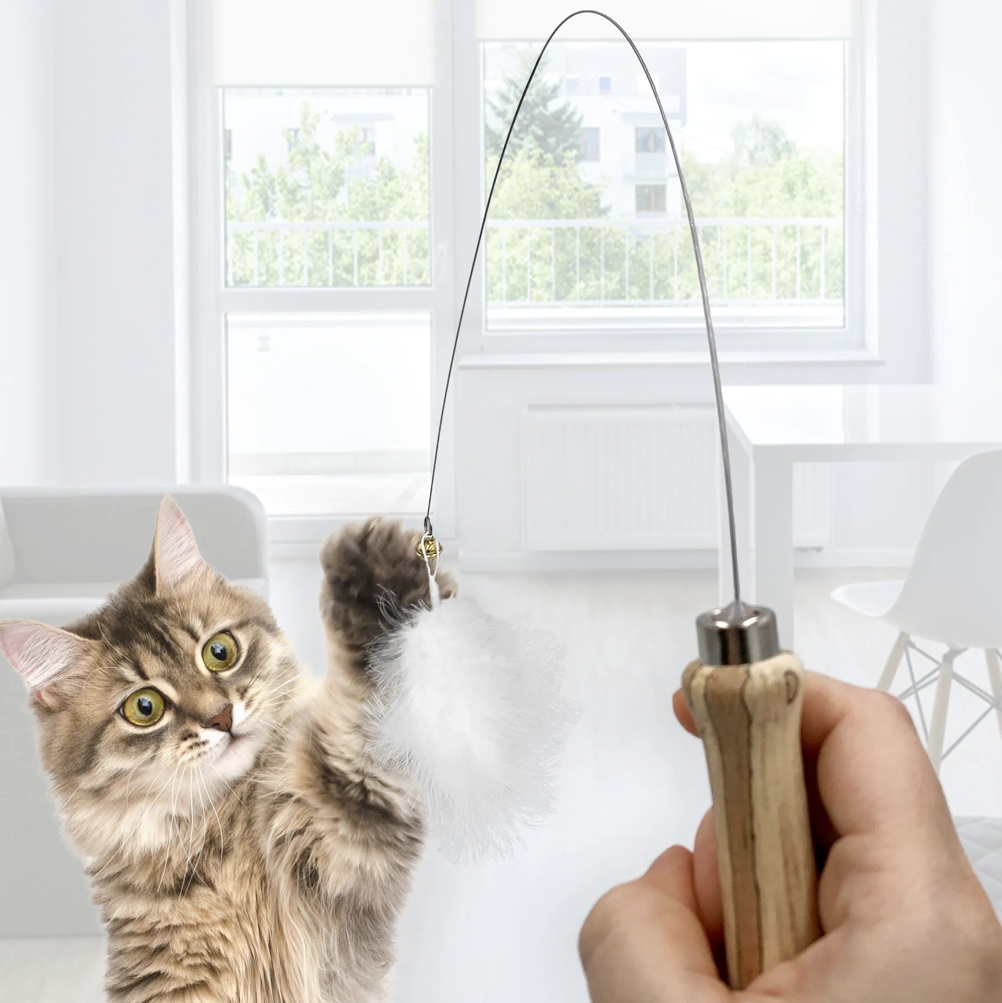 Jeu de canne avec 4 jouets pendentifs - KATER KASIMIR - DOG DéliCAT
