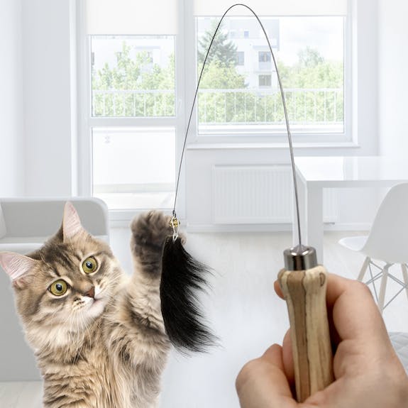 Jeu de canne avec jouet en peau de chèvre - KATER KASIMIR - DOG DéliCAT