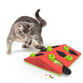 Jeu d’intelligence pour chat – Cat Melon Madness - NINA OTTOSSON - DOG DéliCAT