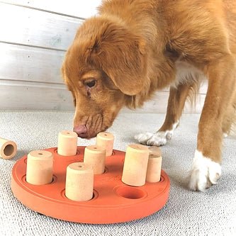 Jeu d’intelligence pour chien – Dog Smart composite niveau 1 - NINA OTTOSSON - DOG DéliCAT
