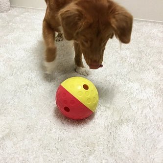 Jeu d’occupation pour chien – Treat Tumble balle grand format - NINA OTTOSSON - DOG DéliCAT