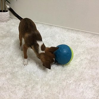 Jeu d’occupation pour chien – Treat Tumble balle petit format - NINA OTTOSSON - DOG DéliCAT