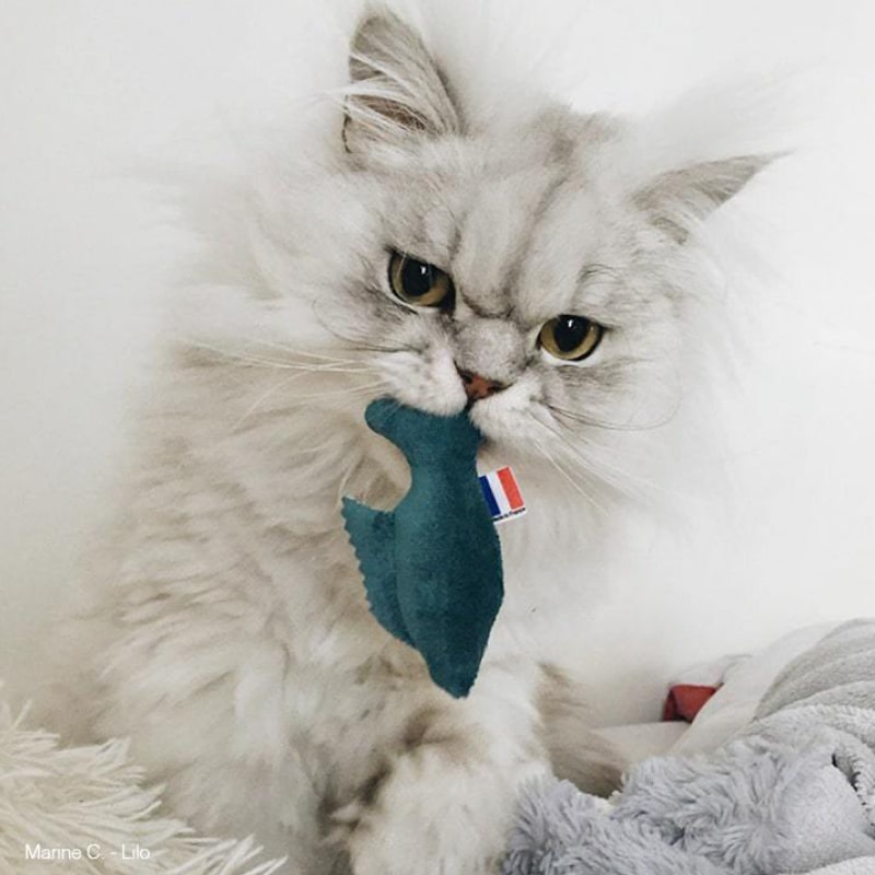 Poisson garnis de Cataire Bio - Jouets pour Chats - Assortiment coloré