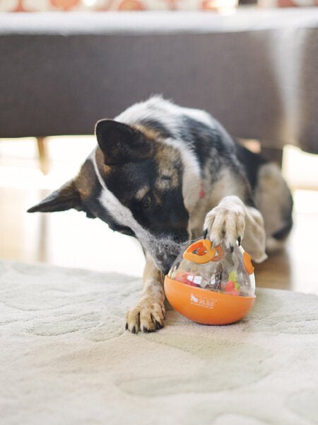 Jouet distributeur de friandises pour chien - Wobble Ball orange Pet PLAY - PET PLAY - DOG DéliCAT