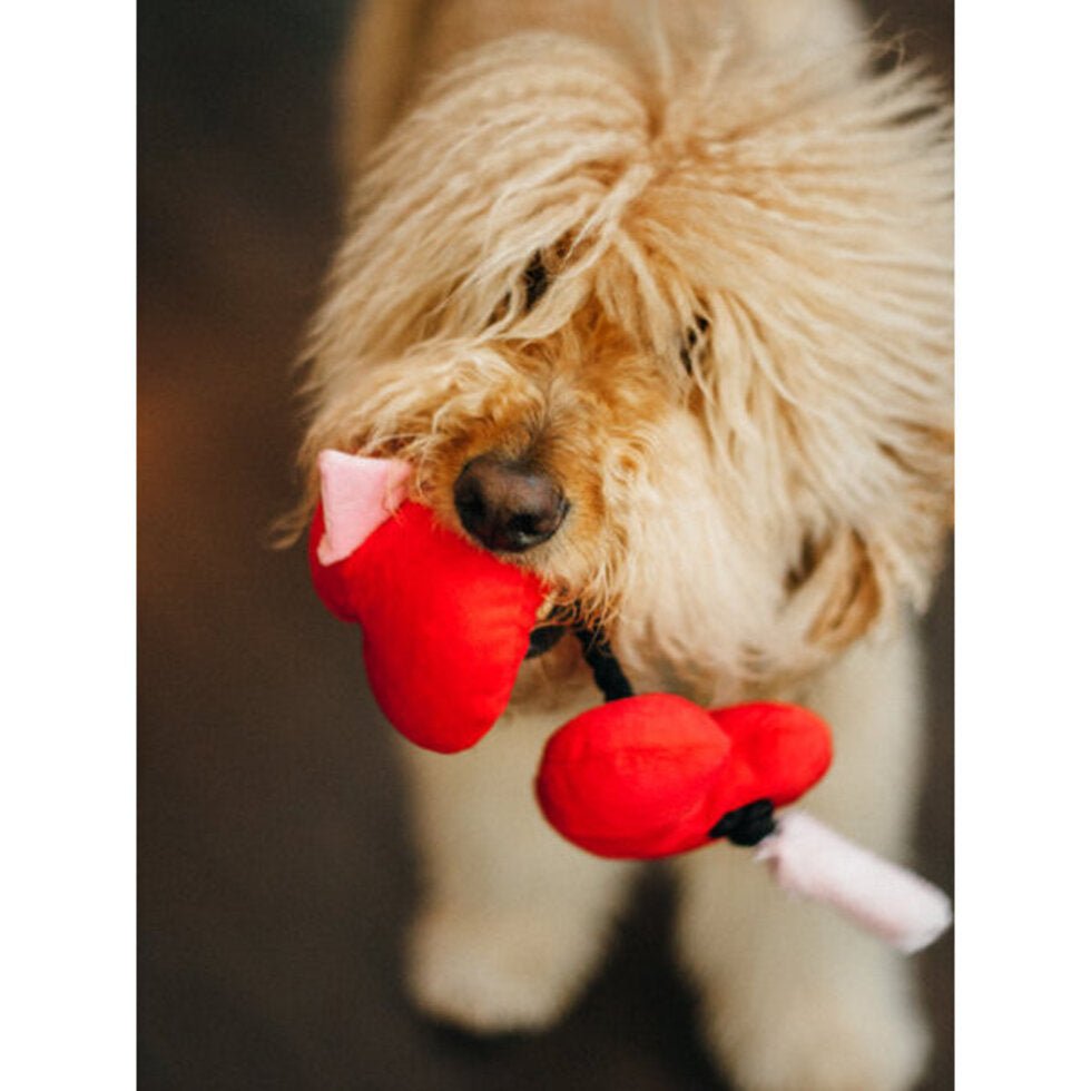 Jouet en peluche pour chien Puppy Love Cœur ❤️ - PET PLAY - DOG DéliCAT