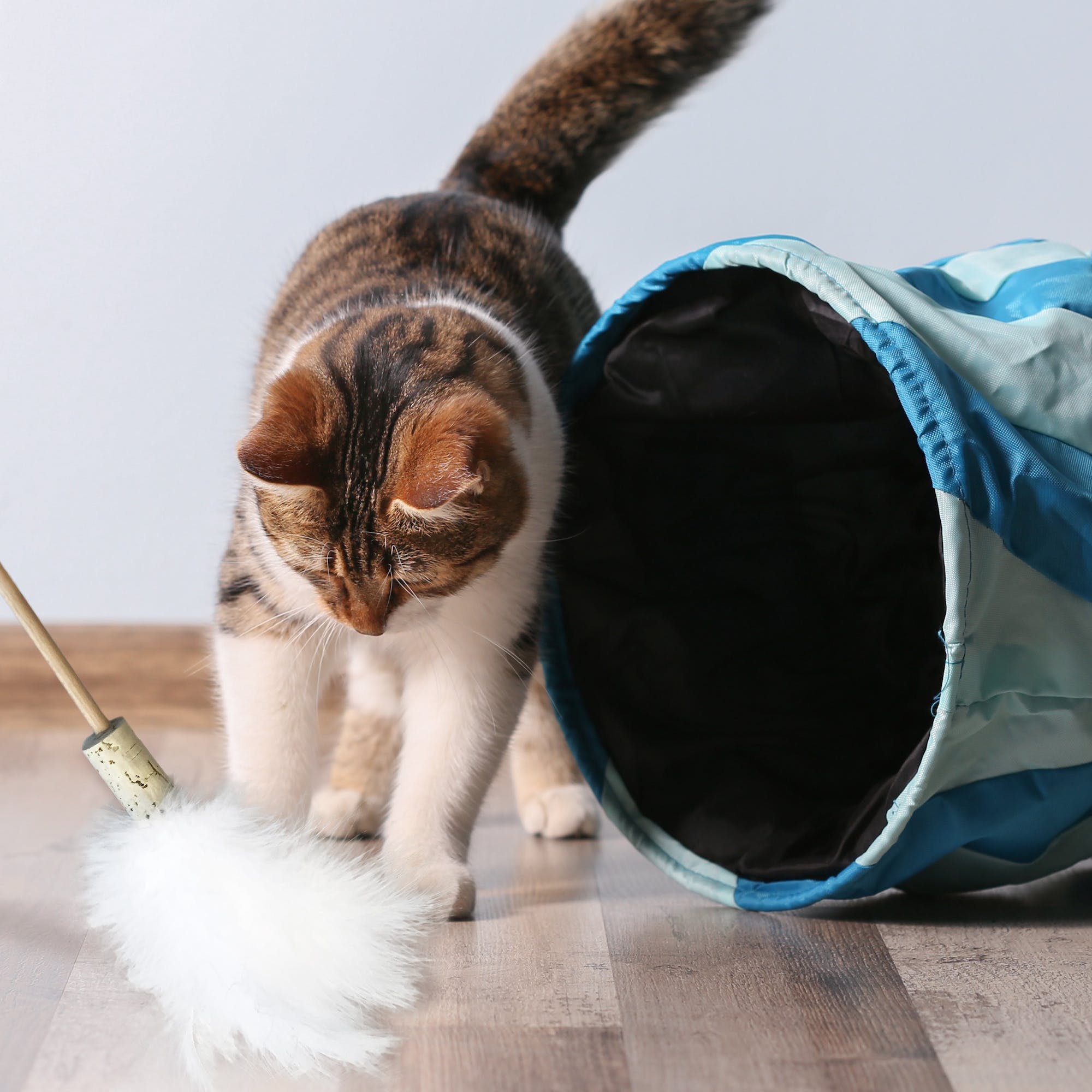 Jouet Plumeau pour Chat avec plumes naturelles - KATER KASIMIR - DOG DéliCAT