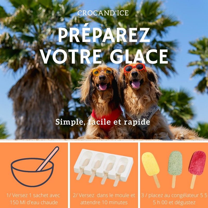 Kit Moule 4 glaces - CROCANDIZ - DOG DéliCAT