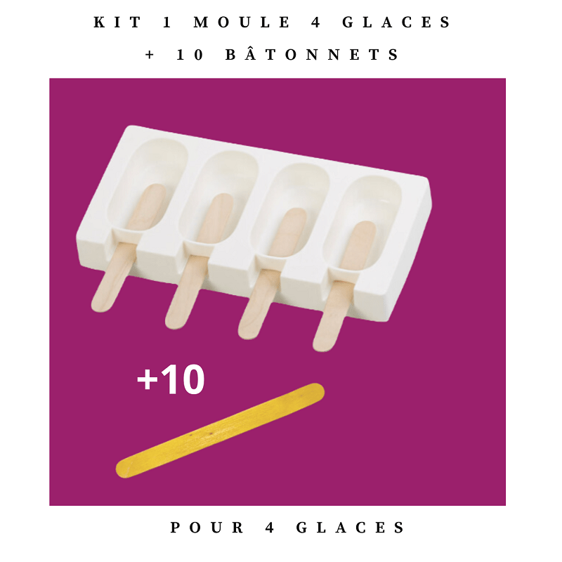 Kit Moule 4 glaces - CROCANDIZ - DOG DéliCAT