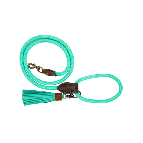 Laisse Classic Jade - DOG WITH A MISSION - DOG DéliCAT